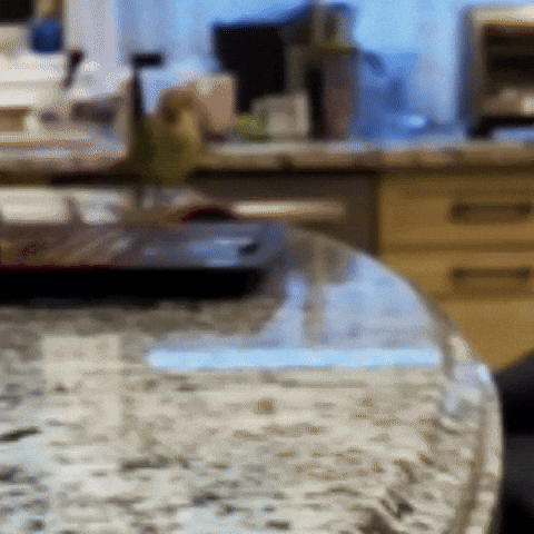 You Died GIF