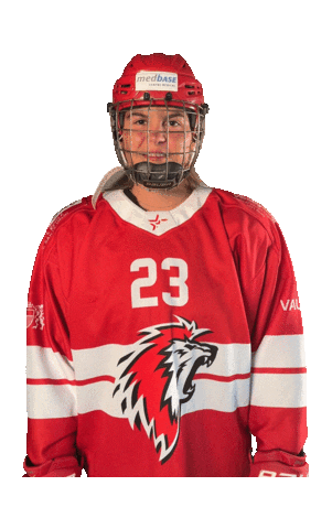 Celebration Goal Sticker by HCFL