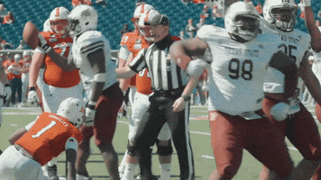 College Football Bobcats GIF by Texas State Football