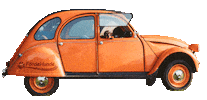 Dog Jump Sticker by foerdehunde