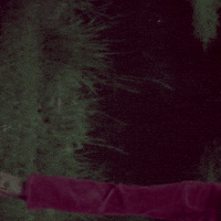 Subtle-motion GIFs - Get the best GIF on GIPHY Subtle-motion GIFs - Get the best GIF on GIPHY