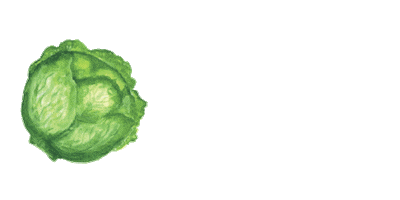 Trees for the Future Sticker