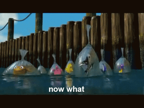Finding Nemo College GIF