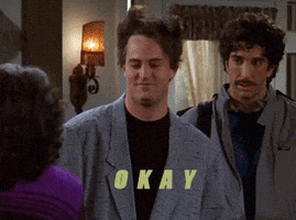 Friends gif. Matt LeBlanc as Joey from Friends nods his head awkwardly and says, “Okay,” alongside David Schwimmer as Ross, both wearing disguises, wigs, and oversized gray jackets.