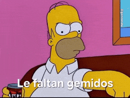 Homero Simpson Simpsons GIF
