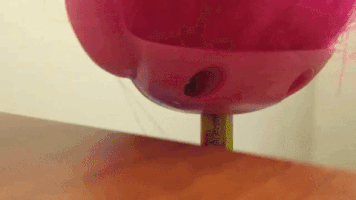 n8ispop weird random trolls GIF