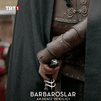 Battle Cry Crusader GIF by TRT