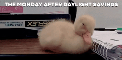 Tired Monday GIF by The Anna Gimpel Team