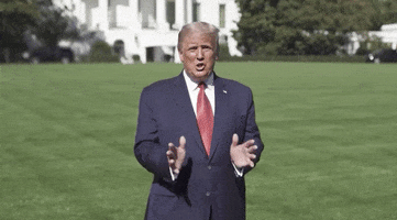 Donald Trump Seniors GIF by GIPHY News
