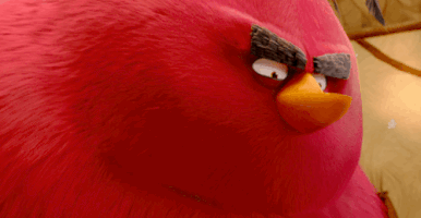 angry birds GIF