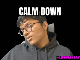 Calm Down Bro GIF