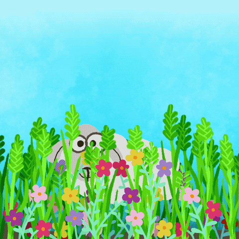 Flowers GIF
