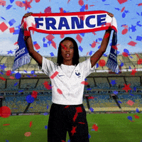 France Futbol GIF by World Cup
