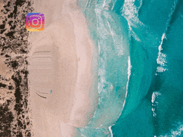 200.gif?cid=fc005b086a80927ca29fac70a561f236d23a17815be6ff34&rid=200.gif&ct=g
