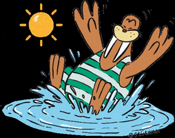 Fun Summer GIF by Trixi-Ferienpark