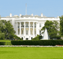 Trump GIF