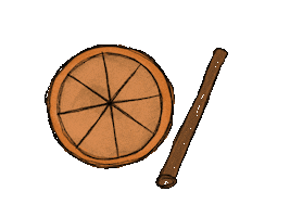 Orange Fruit Sticker