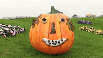 Halloween Fall GIF by Teletubbies