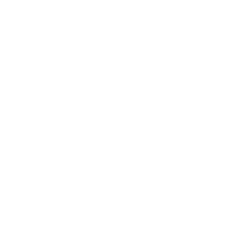 RIDEPRO Sticker