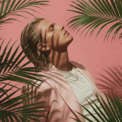 GIF by Jukebox Saints