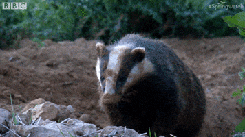 boo yes GIF by BBC Earth