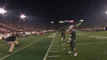 Happy College Football GIF by Michigan State Football