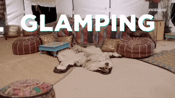 tent glamping GIF by MOST EXPENSIVEST
