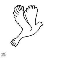 Dove Of Peace Pigeon Sticker