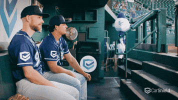 Watching You Pittsburgh Pirates GIF by CarShield