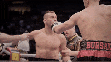 Boxing Ko GIF by Productions Deferlantes