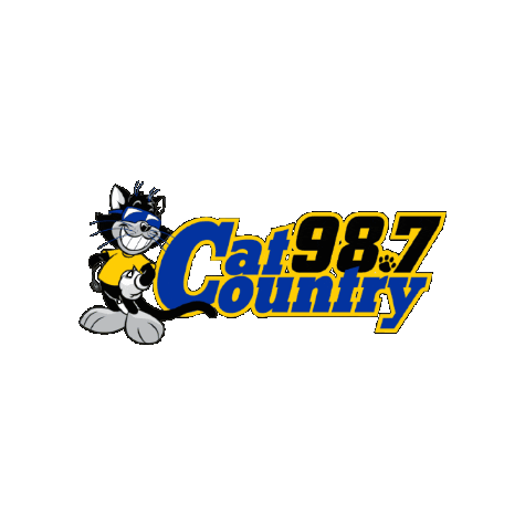 Cat Country 987 Sticker