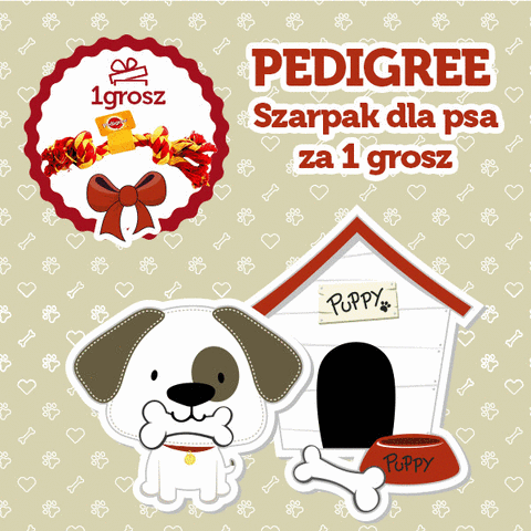 bdsklep pedigree sheba GIF