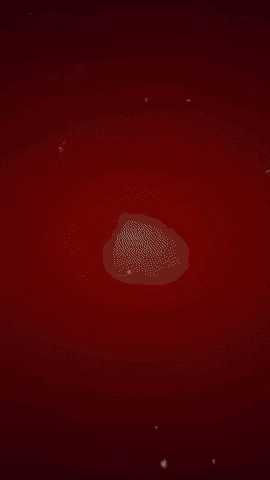Console GIF