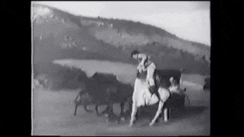 Change Horses In Midstream GIF