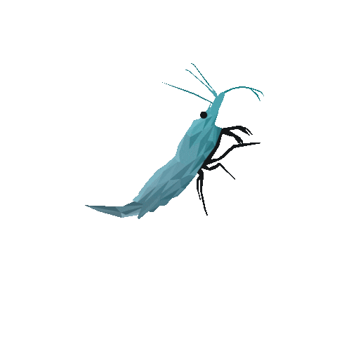yourShrimp Sticker