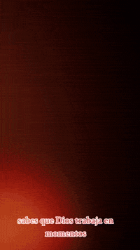 ¿Qué harás con tu momento