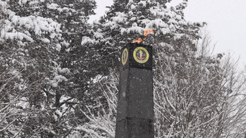 Bowie State Snow GIF by Bowie State University