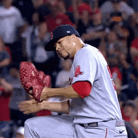 Red-sox-world-series GIFs - Get the best GIF on GIPHY