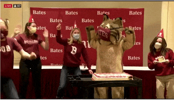 Bobcats GIF by Bates College Alumni