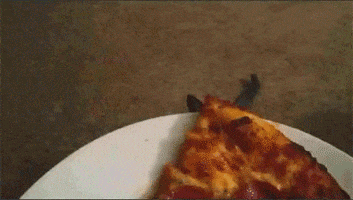 pizza cat