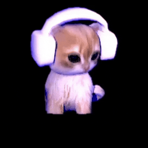 Cat Headphones GIF