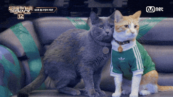 Show Me The Snack GIF