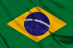 Brazil National Team GIF