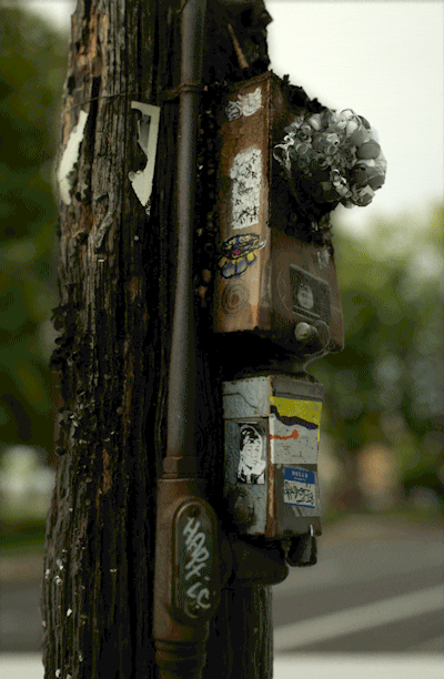 electric meter GIFs - Primo GIF - Latest Animated GIFs