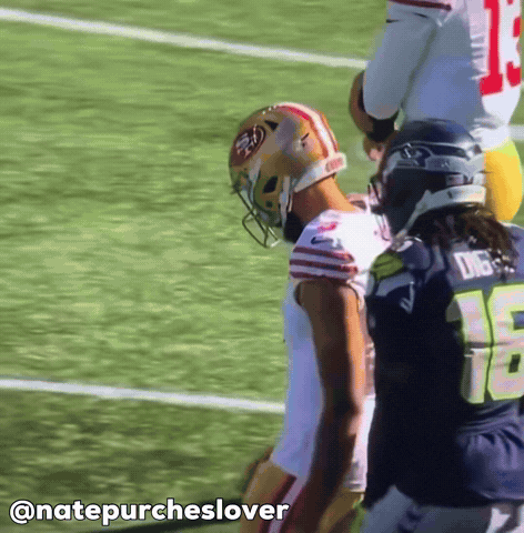 Seattle Seahawks Nfl GIF