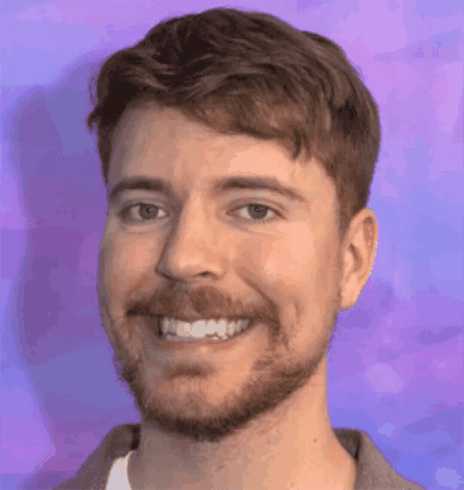 Mr Beast Troll GIF