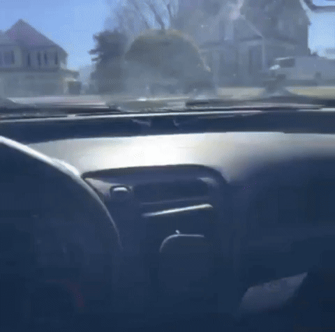 My Little Pony Nathan GIF