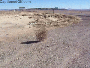 Tumbleweed GIF