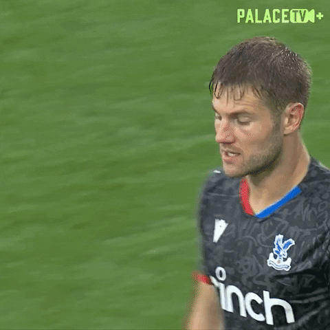 Angry Premier League GIF by Crystal Palace Football Club