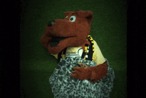 Amo GIF by Pittsburgh Riverhounds SC